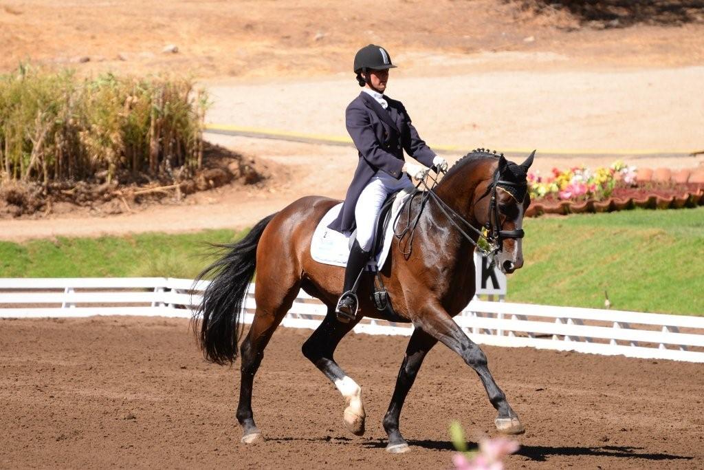 SOLAGUAYRE COUNTRY KNIGHT